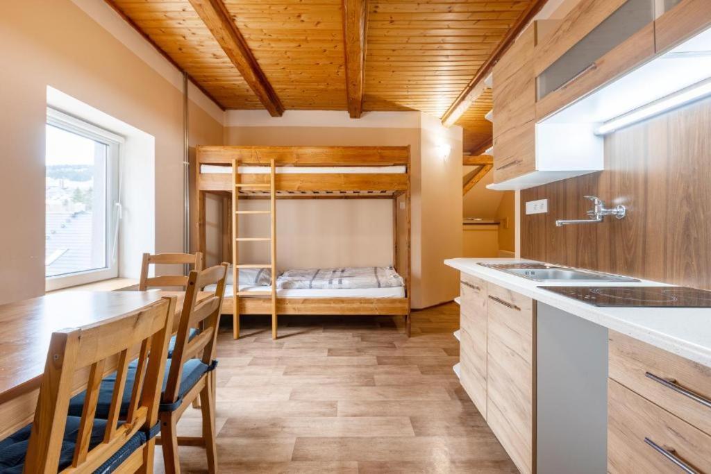 Apartmany Klinovec - Penzion Jonas Loučná pod Klínovcem Eksteriør bilde