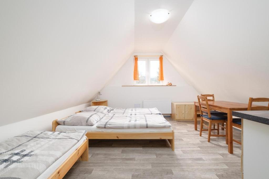 Apartmany Klinovec - Penzion Jonas Loučná pod Klínovcem Eksteriør bilde